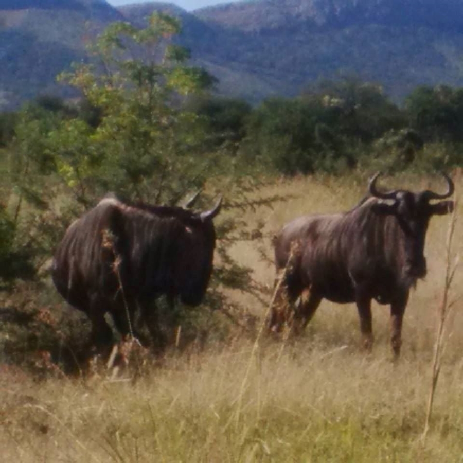 Commercial Property for Sale in Hartbeespoort Rural North West